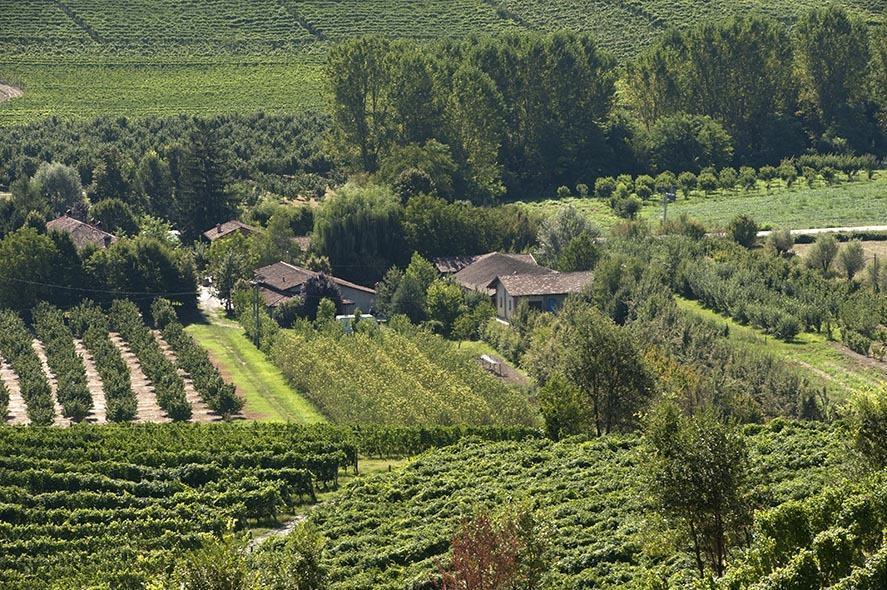 Cascina Ballarin Villa La Morra Dış mekan fotoğraf