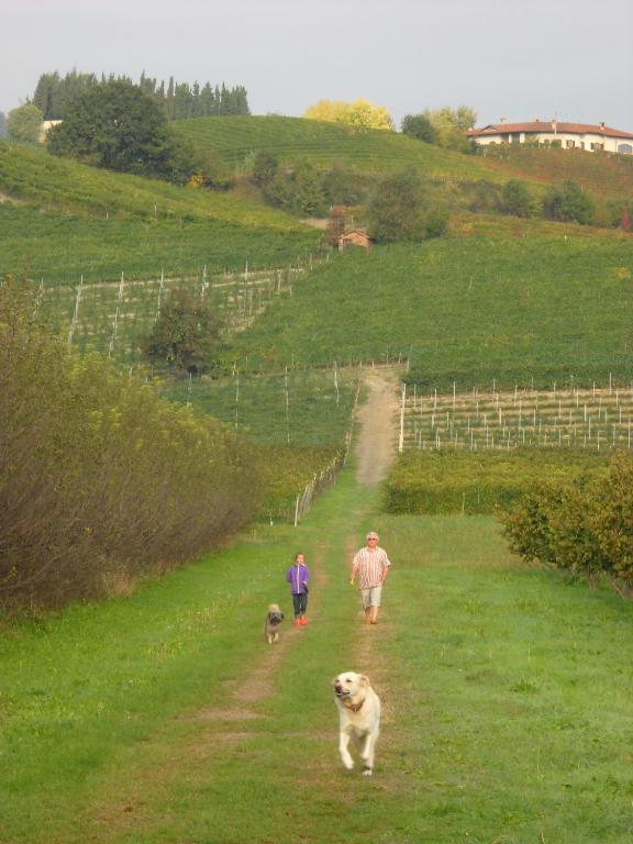 Cascina Ballarin Villa La Morra Dış mekan fotoğraf