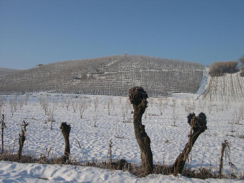 Cascina Ballarin Villa La Morra Dış mekan fotoğraf