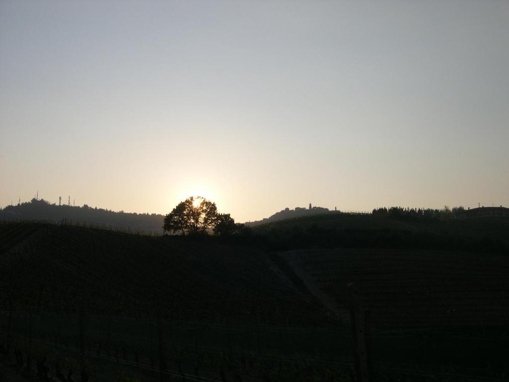 Cascina Ballarin Villa La Morra Dış mekan fotoğraf