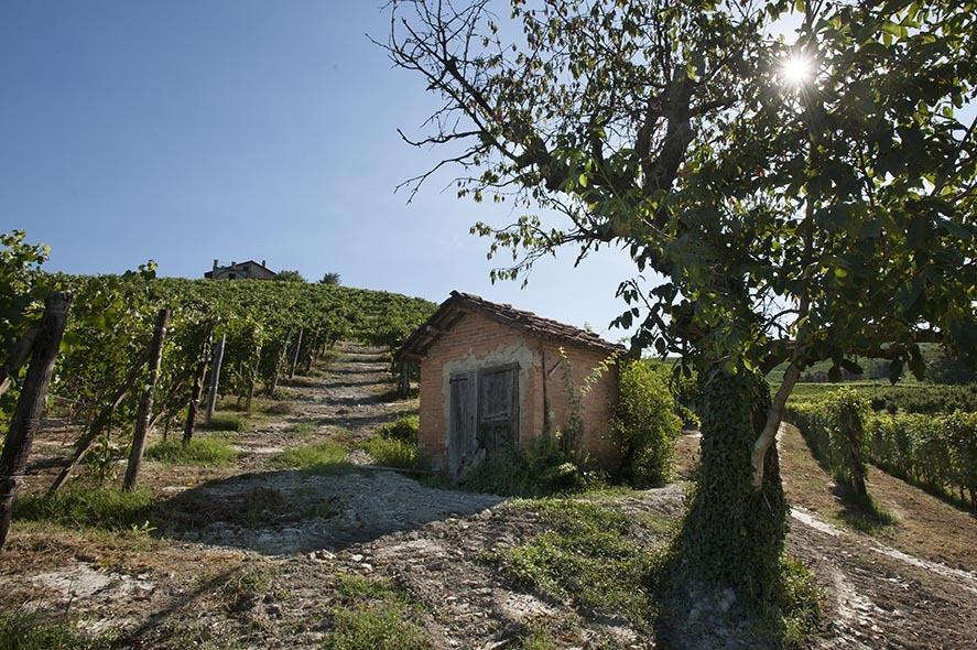 Cascina Ballarin Villa La Morra Dış mekan fotoğraf